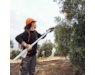 va022000004-stihl-05